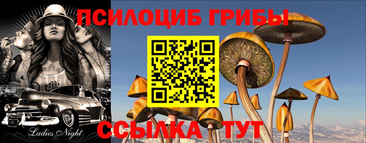 Псилоцибиновые грибы мицелий Кудымкар