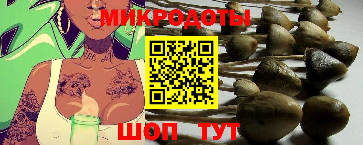 Кудымкар  Галлюциногенные грибы GOLDEN TEACHER  Вход с VPN 